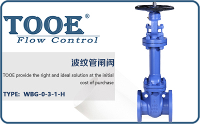 ���y���l�y