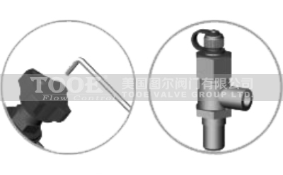 �ӑB(t��i)�������������