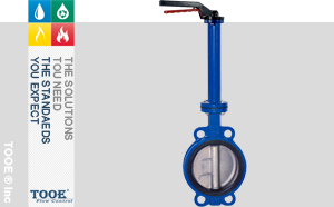 �M(j��n)�����ʽ���L(zh��ng)�U���y