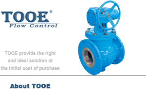 ���bʽ�pƫ�İ����y