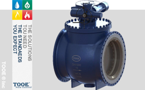 �M(j��n)�����bʽ�pƫ�İ����y