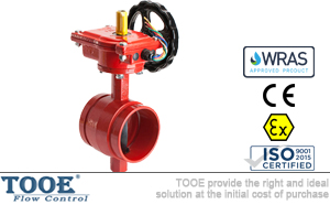 �M����̖���y