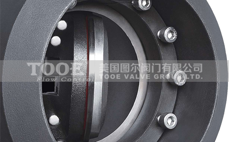 �M�ں��ӵ��y