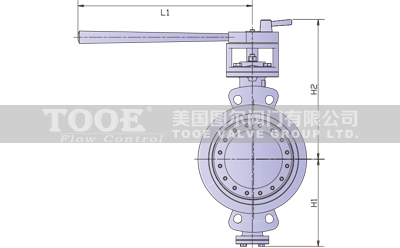 ��ƫ���p���ܷ��քӌ��A���y�Y(ji��)��(g��u)�ߴ�