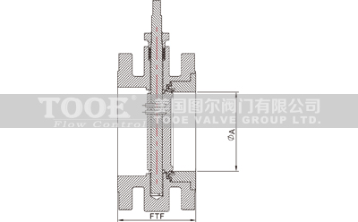 �M(j��n)�ڷ��m�pƫ�ĸ����ܵ��y