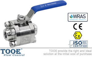 �M(j��n)�ڳв庸�����y