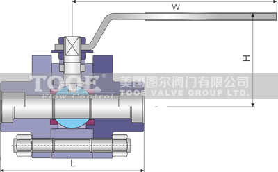 ����ʽ�в庸�����y�Y(ji��)��(g��u)�ߴ�