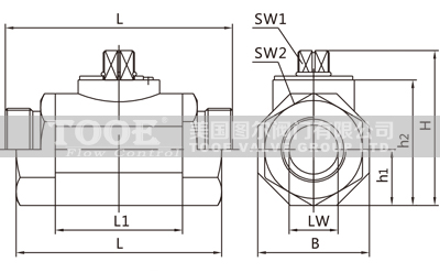�߉�Һ�����y��̖�f��