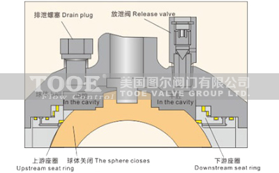 �̶�ʽ���y�p��༰й�Ź���