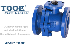 ���T�F���y