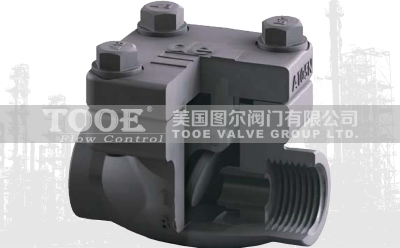 ������ֹ���y