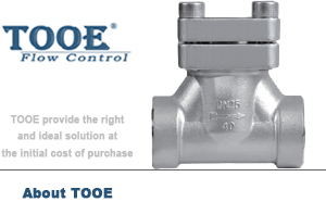 ���ӳ��͜�ֹ���y