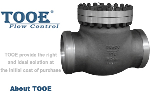 �ߜظ߉�����ʽ�վֹ���y