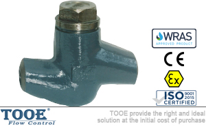 �ߜظ߉������վֹ���y