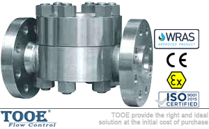 �A�Pʽ�ߜظ߉�������ˮ�y���g����