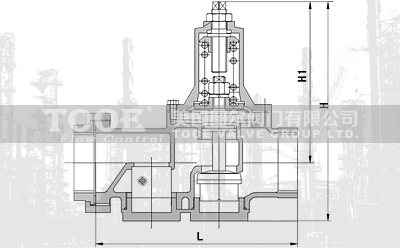 ���ɱ�Ĥ���{ʽ�p���y�Y���ߴ�CAD�D��