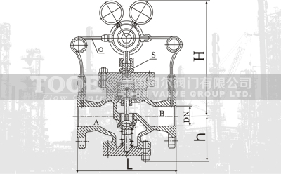 �Ȍ�(d��o)����ʽ���w�p���y���g(sh��)����(sh��)