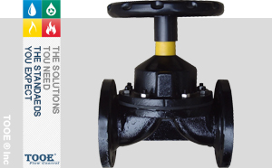 Ӣ��(bi��o)ȫ�r�z��Ĥ�y