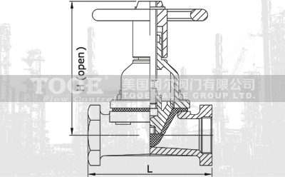 �z���ݼy��Ĥ�y���g����(sh��)