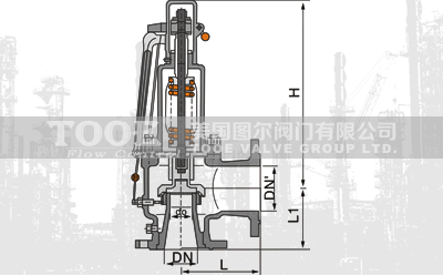 �_���͏���ȫ��ʽй����ȫ�y���g����(sh��)