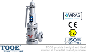 ����ȫ��ʽй����ȫ�y